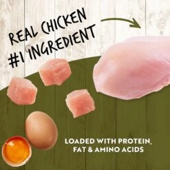 Earthborn Holistic K95 Chicken Recipe Grain-Free Canned Dog Food -Cozy Paws 135402 PT4. AC SS1800 V1633574558