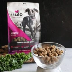 Nulo Freestyle Beef Recipe With Apples Grain-Free Freeze-Dried Raw Dog Food -Cozy Paws 135471 PT2. AC SS1800 V1667863669
