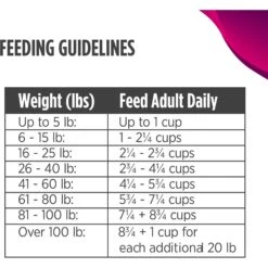 Nulo Freestyle Beef Recipe With Apples Grain-Free Freeze-Dried Raw Dog Food -Cozy Paws 135471 PT8. AC SS1800 V1667947949