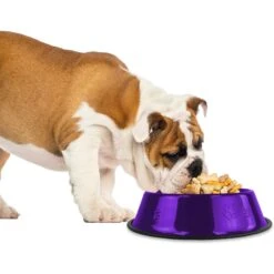 Platinum Pets Non-Skid Stainless Steel Embossed Dog & Cat Bowl -Cozy Paws 135811 PT1. AC SS1800 V1503944589