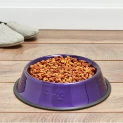 Platinum Pets Non-Skid Stainless Steel Embossed Dog & Cat Bowl -Cozy Paws 135811 PT7. AC SS1800 V1516129875