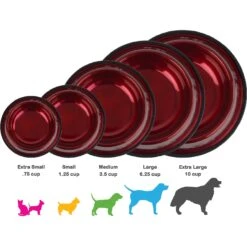 Platinum Pets Non-Skid Stainless Steel Embossed Dog & Cat Bowl -Cozy Paws 135811 PT8. AC SS1800 V1536863635