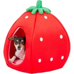YML Strawberry Covered Cat & Dog Bed -Cozy Paws 138280 PT4. AC SS1800 V1566337660