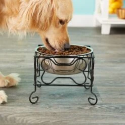 YML Wrought Iron Stand With Stainless Steel Dog Bowl -Cozy Paws 138285 PT3. AC SS1800 V1530223119