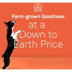 CANIDAE Under The Sun Grain-Free Lamb Recipe Adult Dry Dog Food -Cozy Paws 138974 PT4. AC SS1800 V1661192778