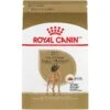 Royal Canin Breed Health Nutrition Great Dane Adult Dry Dog Food