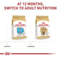 Royal Canin Breed Health Nutrition French Bulldog Puppy Dry Dog Food -Cozy Paws 138982 PT6. AC SS1800 V1697213498