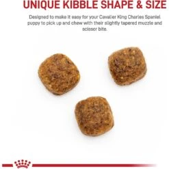 Royal Canin Breed Health Nutrition Cavalier King Charles Puppy Dry Dog Food -Cozy Paws 138986 PT3. AC SS1800 V1700161978
