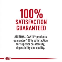 Royal Canin Breed Health Nutrition Jack Russell Terrier Puppy Dry Dog Food 15 Royal Canin Breed Health Nutrition Jack Russell Terrier Puppy Dry Dog Food -Cozy Paws 138997 PT5. AC SS1800 V1697212426