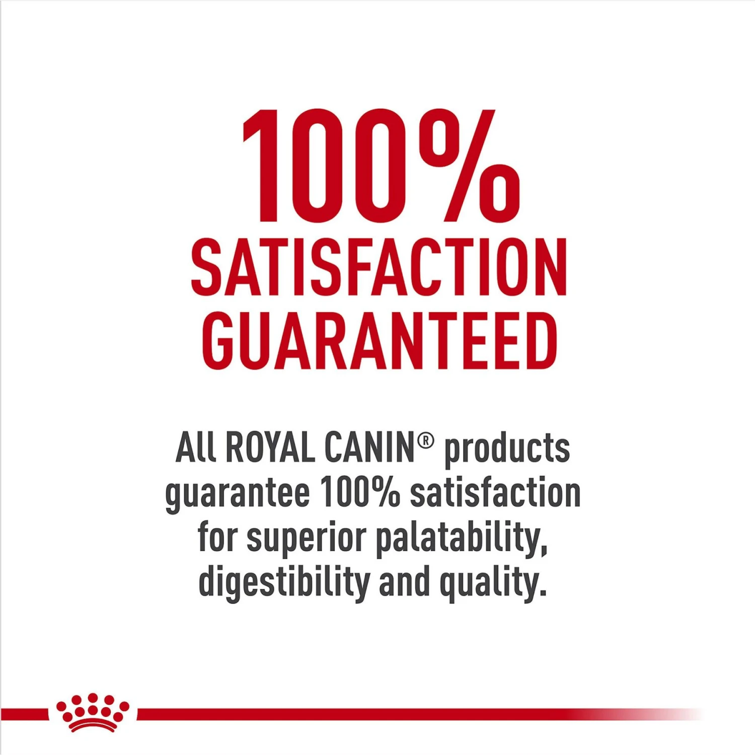Royal Canin Breed Health Nutrition Jack Russell Terrier Puppy Dry Dog Food 8 Royal Canin Breed Health Nutrition Jack Russell Terrier Puppy Dry Dog Food - Image 6