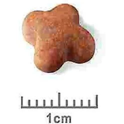 Royal Canin Breed Health Nutrition Jack Russell Terrier Puppy Dry Dog Food 17 Royal Canin Breed Health Nutrition Jack Russell Terrier Puppy Dry Dog Food -Cozy Paws 138997 PT7. AC SS1800 V1550513918