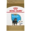 Royal Canin Breed Health Nutrition Rottweiler Puppy Dry Dog Food