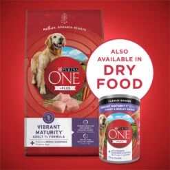 Purina ONE +Plus Adult Classic Ground Vibrant Maturity Adult 7+ Turkey & Barley Entree Canned Dog Food -Cozy Paws 139323 PT6. AC SS1800 V1668810234