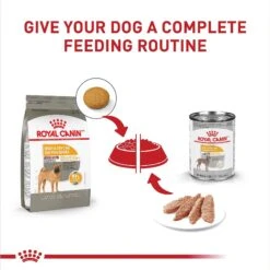 Royal Canin Canine Care Nutrition Medium Sensitive Skin Care Dry Dog Food 16 Royal Canin Canine Care Nutrition Medium Sensitive Skin Care Dry Dog Food -Cozy Paws 140503 PT5. AC SS1800 V1697212765