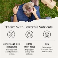 American Journey Limited Ingredient Venison & Sweet Potato Recipe Grain-Free Dry Dog Food -Cozy Paws 140926 PT4. AC SS1800 V1665438079