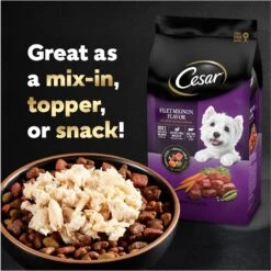 Cesar Simply Crafted Chicken Limited-Ingredient Wet Dog Food Topper -Cozy Paws 141019 PT8. AC SS1800 V1695674515