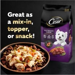 Cesar Simply Crafted Chicken, Carrots & Green Beans Limited-Ingredient Wet Dog Food Topper -Cozy Paws 141022 PT8. AC SS1800 V1695752337