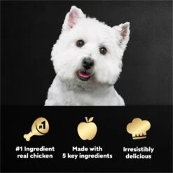 Cesar Simply Crafted Chicken, Sweet Potato, Apple, Barley & Spinach Limited-Ingredient Adult Wet Dog Food Topper -Cozy Paws 141030 PT7. AC SS1800 V1695738951