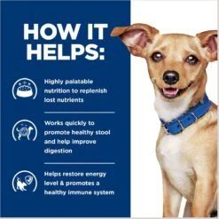 Hill's Prescription Diet I/d Digestive Care Small Bites Chicken Flavor Dry Adult & Puppy Dog Food -Cozy Paws 141044 PT4. AC SS1800 V1687982888