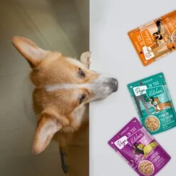 Weruva Dogs In The Kitchen Pooch Pouch Party! Variety Pack Grain-Free Dog Food Pouches -Cozy Paws 142343 PT8. AC SS1800 V1701362268