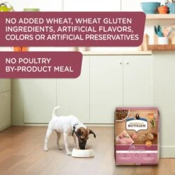 Rachael Ray Nutrish Little Bites Small Breed Real Chicken & Veggies Recipe Dry Dog Food -Cozy Paws 142436 PT5. AC SS1800 V1657655543