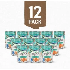 Purina Beyond Alaskan Cod, Salmon & Sweet Potato Grain-Free Canned Dog Food -Cozy Paws 142438 PT1. AC SS1800 V1700157023