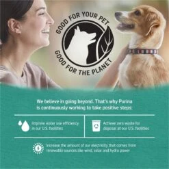 Purina Beyond Alaskan Cod, Salmon & Sweet Potato Grain-Free Canned Dog Food -Cozy Paws 142438 PT6. AC SS1800 V1700158779