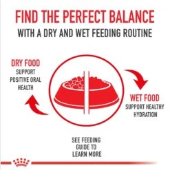 Royal Canin Breed Health Nutrition Shih Tzu Adult Loaf In Sauce Canned Dog Food -Cozy Paws 142487 PT5. AC SS1800 V1696534944