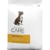 Diamond Care Sensitive Stomach Formula Adult Grain-Free Dry Dog Food -Cozy Paws 143248 MAIN. AC SS1800 V1614011182
