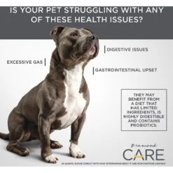 Diamond Care Sensitive Stomach Formula Adult Grain-Free Dry Dog Food -Cozy Paws 143248 PT5. AC SS1800 V1587655590