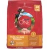 Purina ONE Natural SmartBlend Chicken & Rice Formula Dry Dog Food