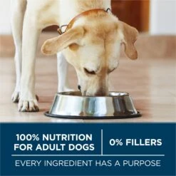 Purina ONE Natural Large Breed +Plus Formula Dry Dog Food -Cozy Paws 143261 PT5. AC SS1800 V1676317831