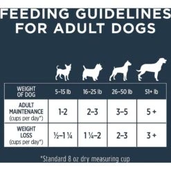 Instinct Frozen Raw Bites Grain-Free Real Beef Recipe Dog Food -Cozy Paws 143996 PT8. AC SS1800 V1615821413