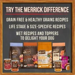 Merrick Grain-Free Wet Puppy Food Puppy Plate Beef Recipe -Cozy Paws 144744 PT7. AC SS1800 V1644912721