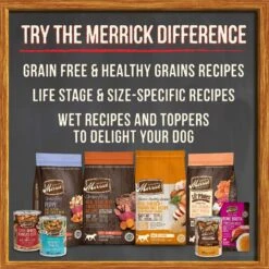 Merrick Grain-Free Wet Dog Food Thanksgiving Day Dinner -Cozy Paws 144747 PT8. AC SS1800 V1619704357
