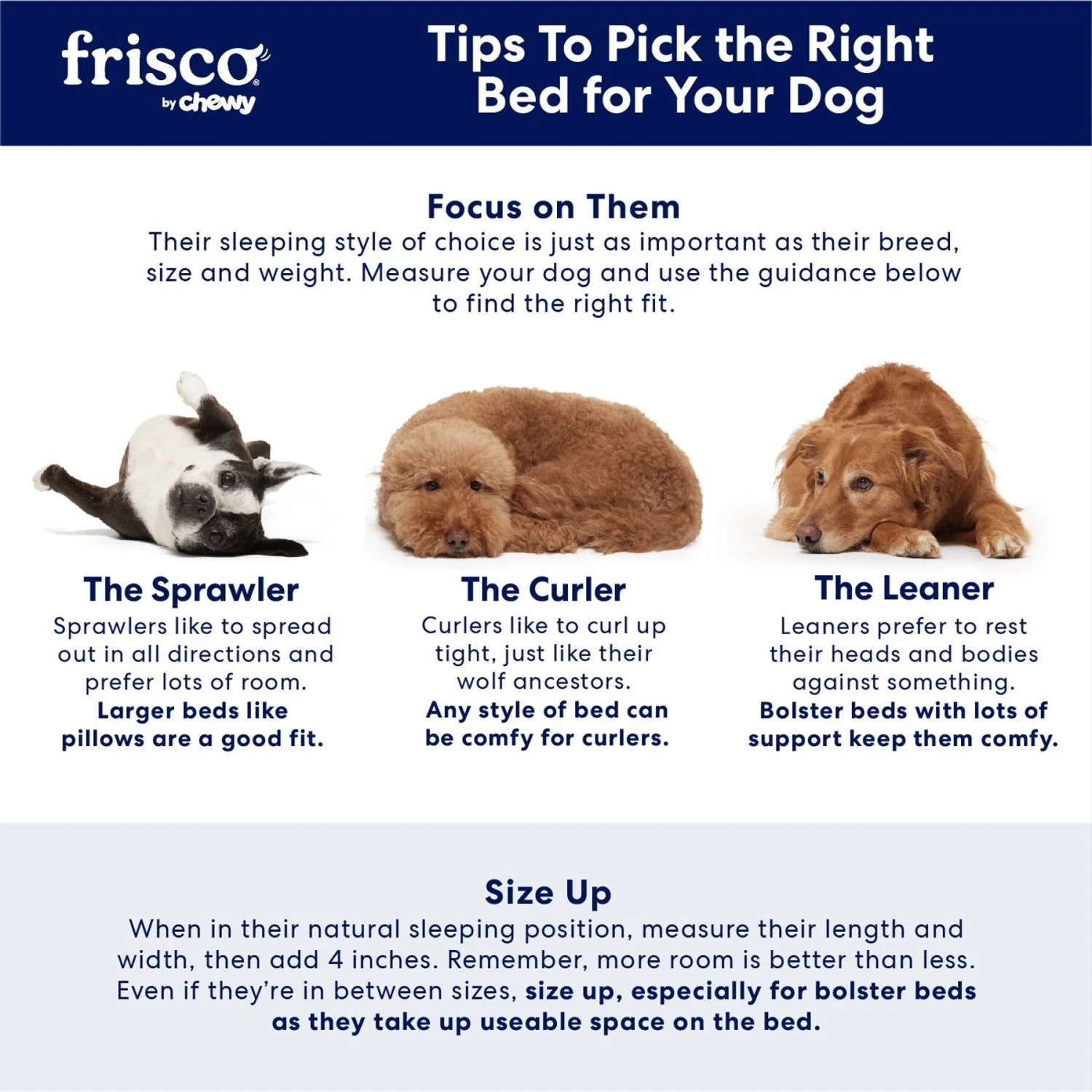 Frisco Sherpa Orthopedic Bolster Cat & Dog Bed 8 Frisco Sherpa Orthopedic Bolster Cat & Dog Bed - Image 6