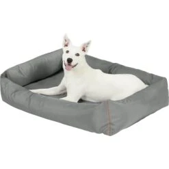 Frisco Rectangular Bolster Dog Bed W/Removable Cover, Dark Gray -Cozy Paws 144865 PT4. AC SS1800 V1578443251