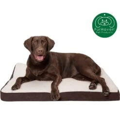 FurHaven Faux Sheepskin & Suede Deluxe Orthopedic Cat & Dog Bed With Removable Cover -Cozy Paws 145039 PT3. AC SS1800 V1606357617