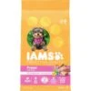 Iams Proactive Health Small & Toy Breed Puppy High Protein DHA Formula With Real Chicken Dry Dog Food -Cozy Paws 145145 MAIN. AC SS1800 V1667864218
