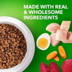 Iams Proactive Health Small & Toy Breed Puppy High Protein DHA Formula With Real Chicken Dry Dog Food -Cozy Paws 145145 PT3. AC SS1800 V1668023610