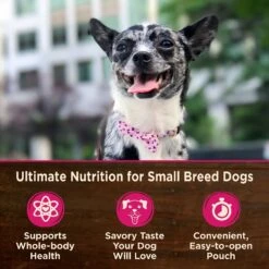 Wellness CORE Grain-Free Small Breed Mini Meals Shredded Chicken & Turkey In Gravy Dog Food Pouches -Cozy Paws 145502 PT2. AC SS1800 V1611776194