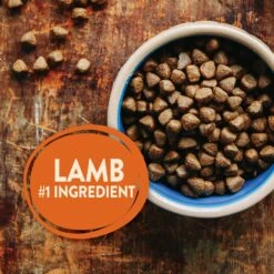 Wellness CORE Grain-Free Lamb Recipe Dry Dog Food -Cozy Paws 145524 PT3. AC SS1800 V1611272787