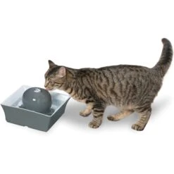 PetSafe Drinkwell Seascape Ceramic Dog & Cat Fountain -Cozy Paws 147502 PT6. AC SS1800 V1608080245