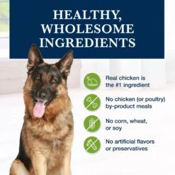 Blue Buffalo Natural Veterinary Diet GI Gastrointestinal Support Dry Dog Food -Cozy Paws 147668 PT5. AC SS1800 V1695495189