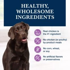 Blue Buffalo Natural Veterinary Diet W+U Weight Management + Urinary Care Chicken Wet Dog Food -Cozy Paws 147694 PT5. AC SS1800 V1695132225