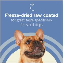 CANIDAE PURE Petite Adult Small Breed Grain-Free With Lamb Dry Dog Food -Cozy Paws 148564 PT6. AC SS1800 V1673463944