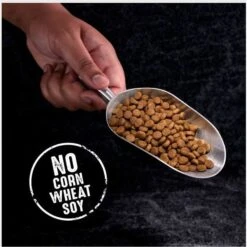 Crave High Protein Beef Adult Grain-Free Dry Dog Food -Cozy Paws 149517 PT2. AC SS1800 V1688756932