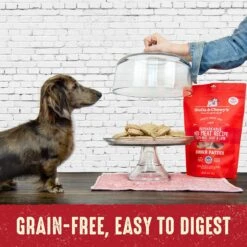 Stella & Chewy's Remarkable Red Meat Recipe Dinner Patties Freeze-Dried Raw Dog Food -Cozy Paws 150712 PT5. AC SS1800 V1533082646