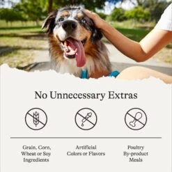 American Journey Salmon Recipe Grain-Free Soft & Chewy Training Bits Dog Treats 17 American Journey Salmon Recipe Grain-Free Soft & Chewy Training Bits Dog Treats -Cozy Paws 151162 PT7. AC SS1800 V1567707781