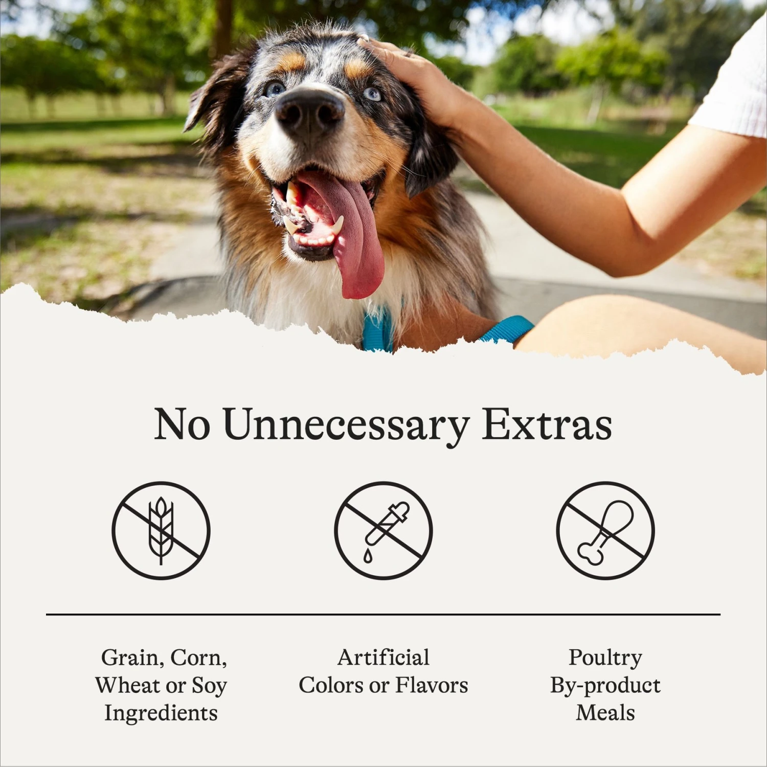 American Journey Salmon Recipe Grain-Free Soft & Chewy Training Bits Dog Treats 10 American Journey Salmon Recipe Grain-Free Soft & Chewy Training Bits Dog Treats - Image 8